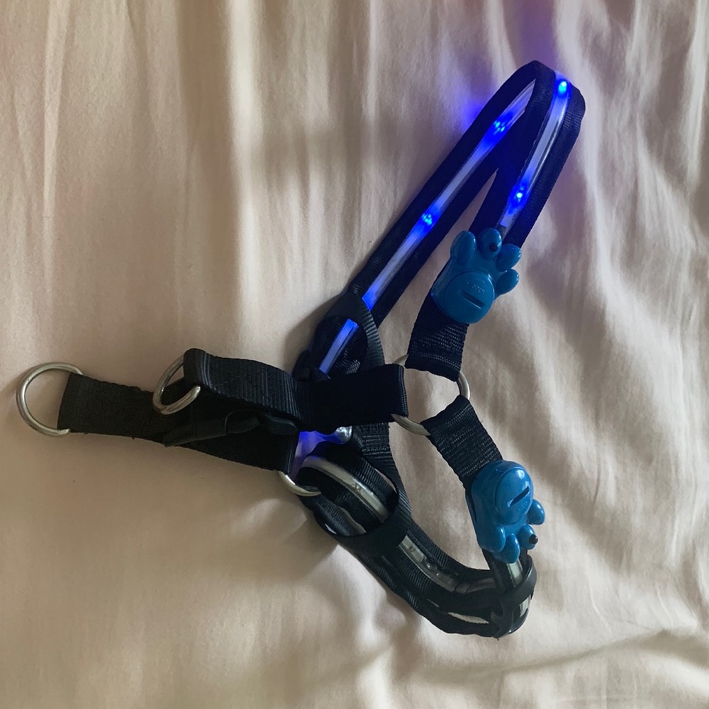 Lighted dog harnesses.